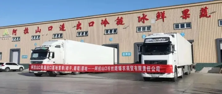 湖北省宜昌蜜桔从阿拉山口出口俄罗斯 跨境供应链再添新绩