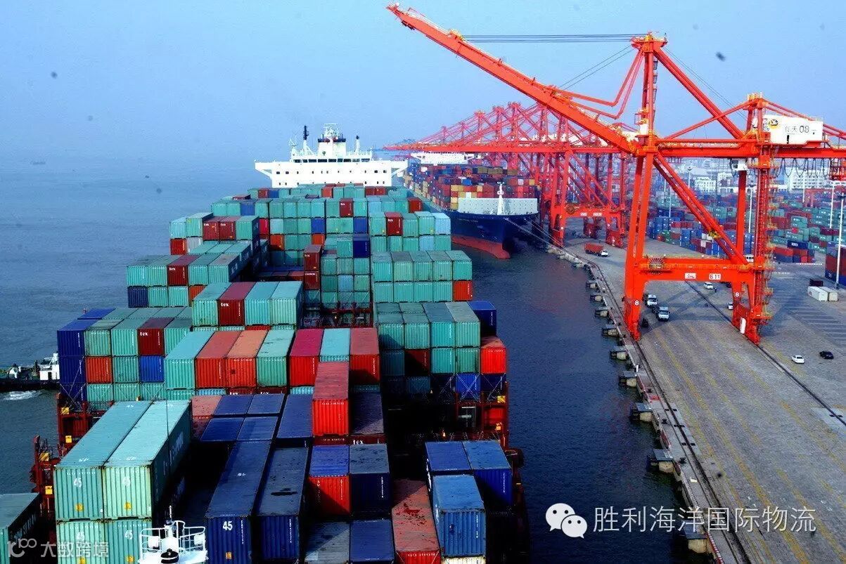 海运拼箱为啥不收运费？- 大数跨境