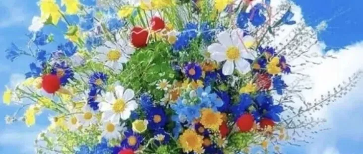 118张今日最新早上好问候语，问候如约而至，送上真挚心意