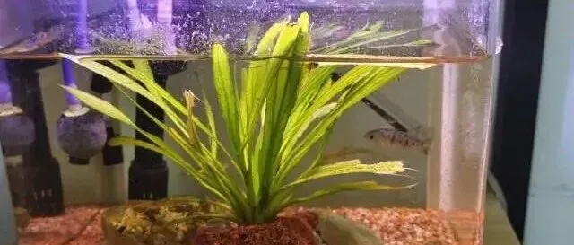 Ozon佣金涨了！家人们，钱包准备好了吗？