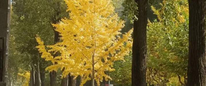 “世上无难事，只要肯登攀