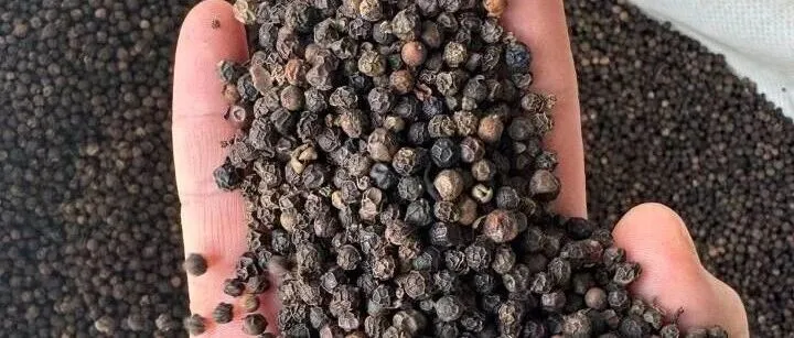 香料进口免药检-清关操作经验分享