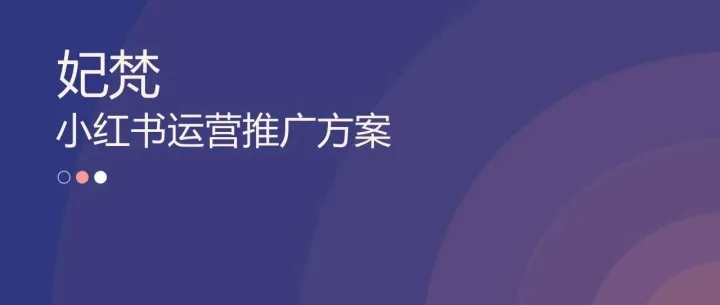 妃梵美妆品牌<em>小红</em><em>书</em>运营<em>推广</em>方案