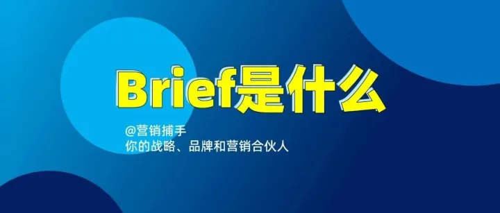brief是什么