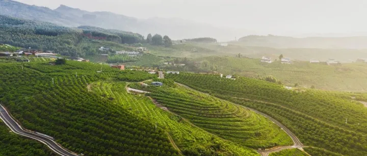 商会|热点　全国备案面积最大！丹棱县出境柑橘果园全域备案圆满完成