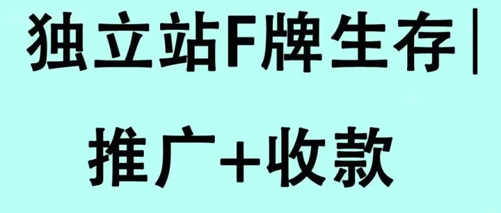 【深度解析】仿牌独立站从0到1完整指南：推广策略与收款方案全揭秘