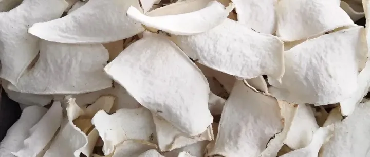 魔芋干片进口报关全流程指南（含资质、单证及检测要求）