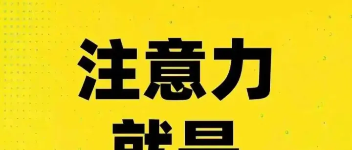 流量的底层逻辑是什么？流量的本质是用户注意力的聚集