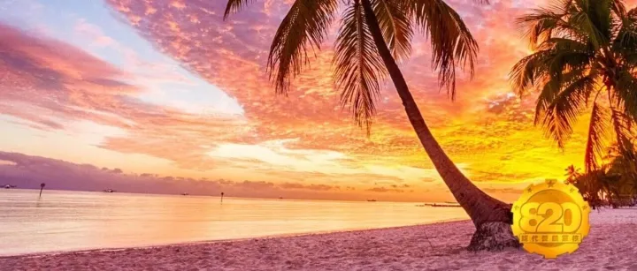 如果这么内卷的行业，都能挣到钱，你还有什么说的呢？