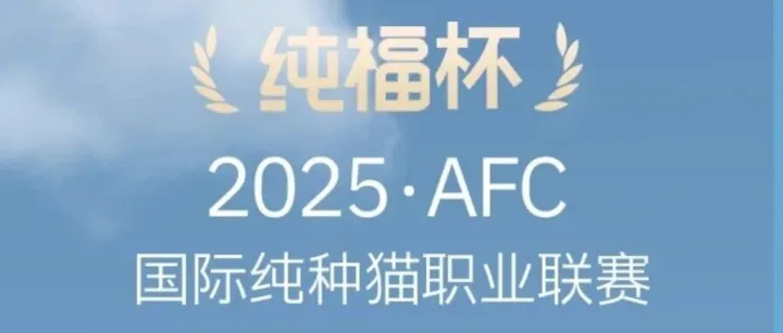 AFC展商推荐 | 乔小兔塞尔凯克猫舍&MEOWNEKO猫舍