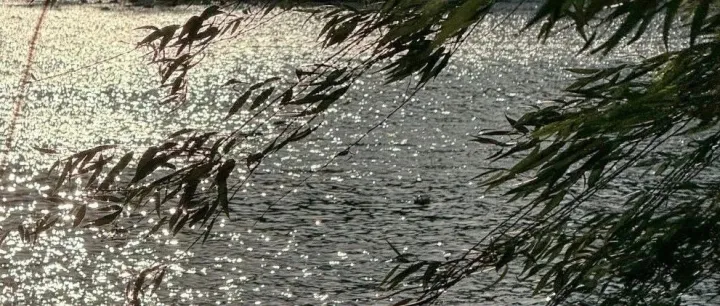 TEMU成就了多少人？山姆哥就是其中一个