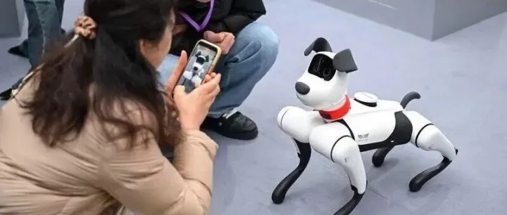 【媒体报道转载】Shanghai businesses embrace AI <em>solutions</em>