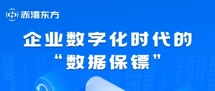 企业数字化时代的“数据保镖”