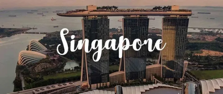 新加坡严惩跨境黑车，当局7月至今扣押102辆