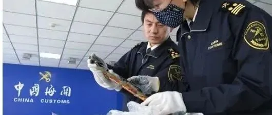 国际清关怕踩坑？流程、材料、各国要求全解析，看完少走弯路！