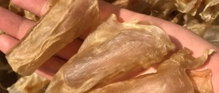 报关行推荐的正规进口鱼胶海参回国手续