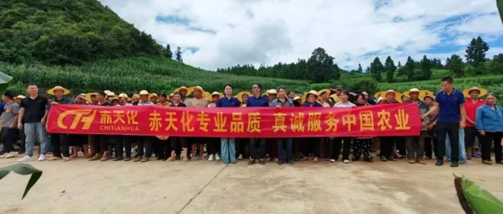 赤牌15-15-15辣椒适用复合肥助力兴仁市辣椒产业提质增效