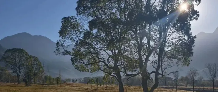 小镇人声语，忆时旧时光。岁月无声逝，物是人已非