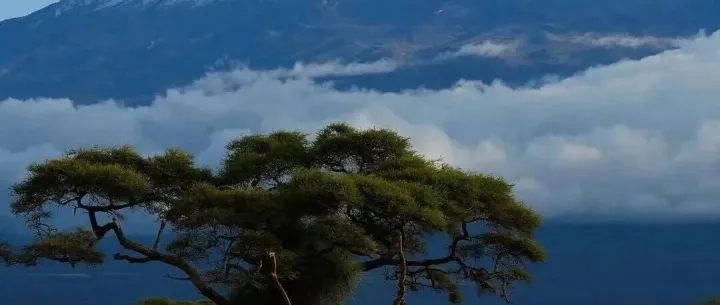 数学的“纯粹之美”，