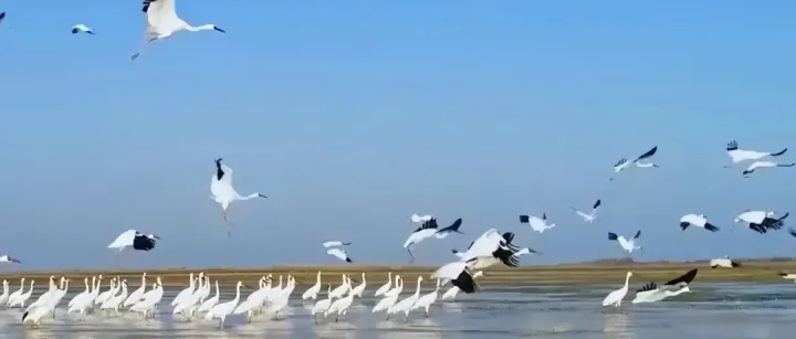 MINA(<em>数值</em>1, [<em>数值</em>2], ...)