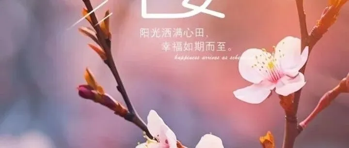 “186张早安吉祥美图：新的一天，愿你心态平和、万事顺意，健康相伴左右，快乐常留心中”
