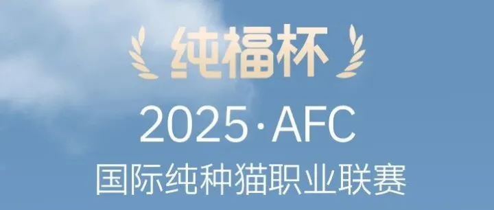 潮玩盛会+国际猫赛！2025AFC国际纯种猫职业联赛将于广州琶洲盛大举行！