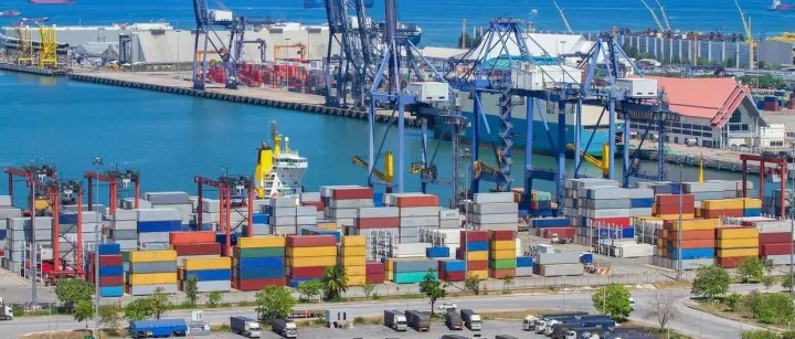 出口埃及<em>ACID</em>如何申请