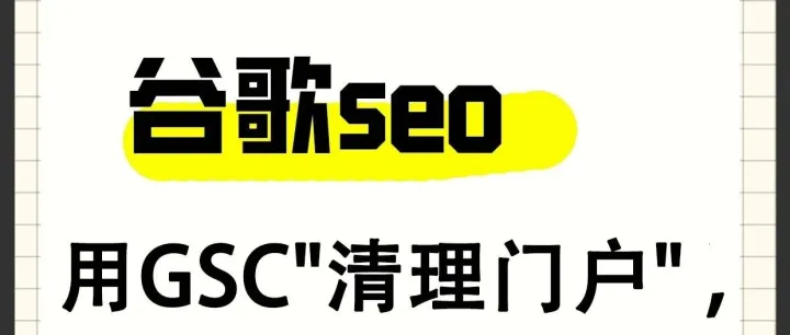 谷歌 SEO 核心操作：GSC 页面清理 + URL <em>规范化</em>