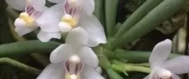 人生为什么寂寞”