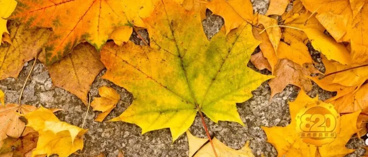 对客户<em>越</em>了解的人，<em>越</em>容易成功（<em>三</em>）！