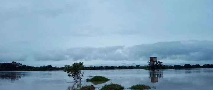 RMB foreign exchange swap