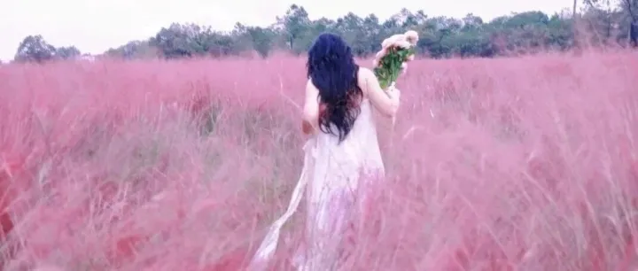 收藏！桐庐秋季赏景时间轴：从桂花、粉黛到银杏、水杉，一路美到年底！