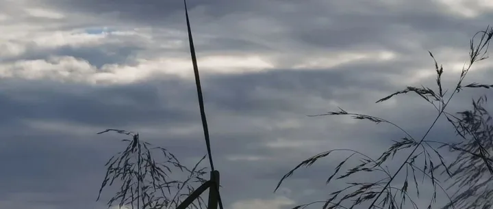 亿联网络的净利润率高得离谱，我来说说其中的秘诀