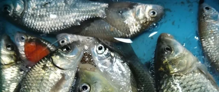 AI芯片，高通要来了，真要来了