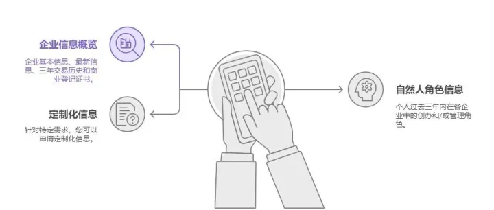 查询越南公司可以获取什么文件和信息？