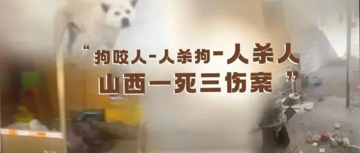 山西“狗咬人引发的血案”开庭：一命换一命，太不值得