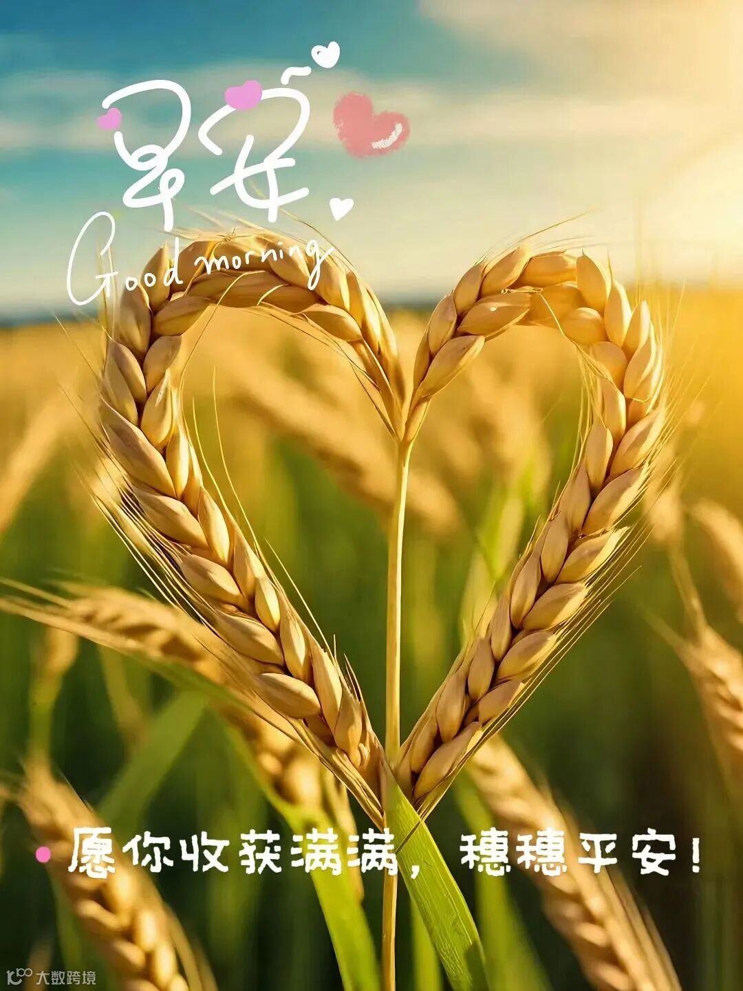 最新版早上好表情图片大全，每天真诚问平安，天天祝福情不淡。- 大数跨境, image size:1080x1441
