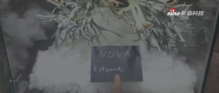 一株绿植100万，中产「销金窟」又出王炸？