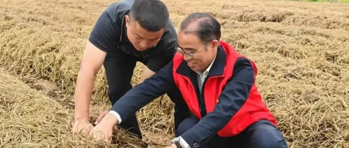 驻村一线｜从“显眼包”到“贴心人”