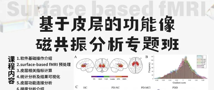 明天开课｜第一届基于皮层的功能像磁共振分析专题班（直播：2025.11.17～11.27）