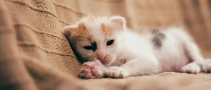 【投资】95岁巴菲特谢幕，段永平补刀，价值投资双雄世纪对话：AI要追吗？钱该怎么放？普通人怎么炒股？从买公司到守财富，读懂稳赚钱