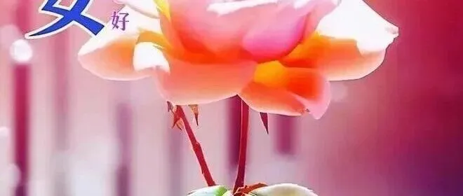 18句今日最新早安祝福语短句精选，吉祥如意、健康平安