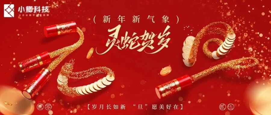 喜迎2025 | 小鲫科技与您携手共赴新程- 大数跨境