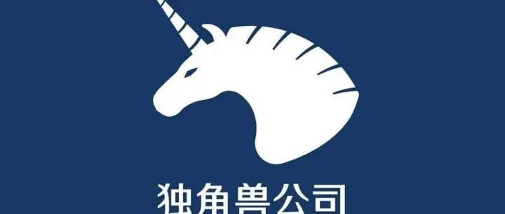 中国10大独角兽企业（2025最新版）