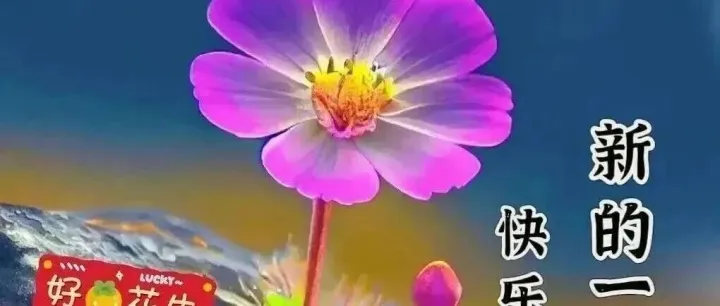 最新版本18句今天最新早上好问候语精选大全，开心送祝福，相互牵挂暖心间