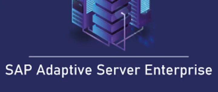 SAP ECC6 EHP6 ASE <em>virtual</em> <em>machine</em>.