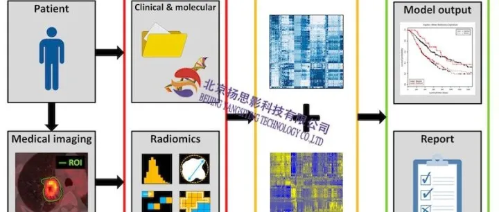 第三十三届影像组学班（北京，12.11-16）