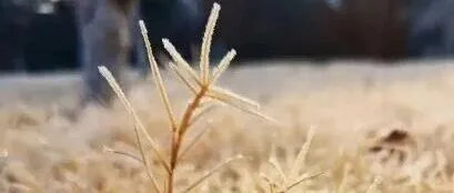 <em>阳泉</em>本周天气……