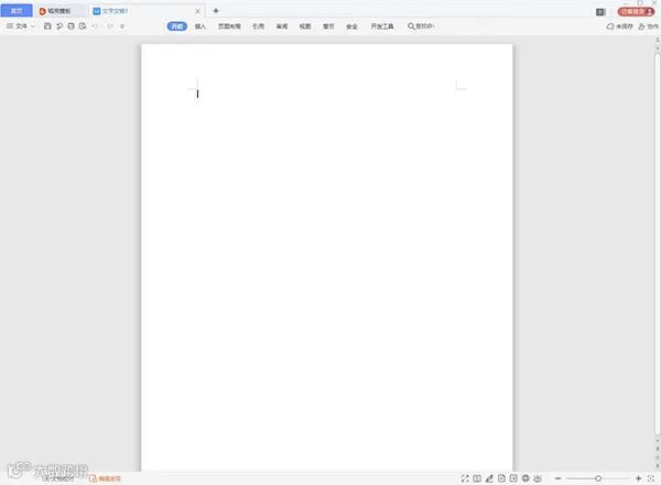 WPS教育考试专用版