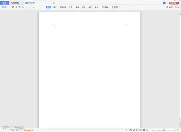 WPS教育考试专用版